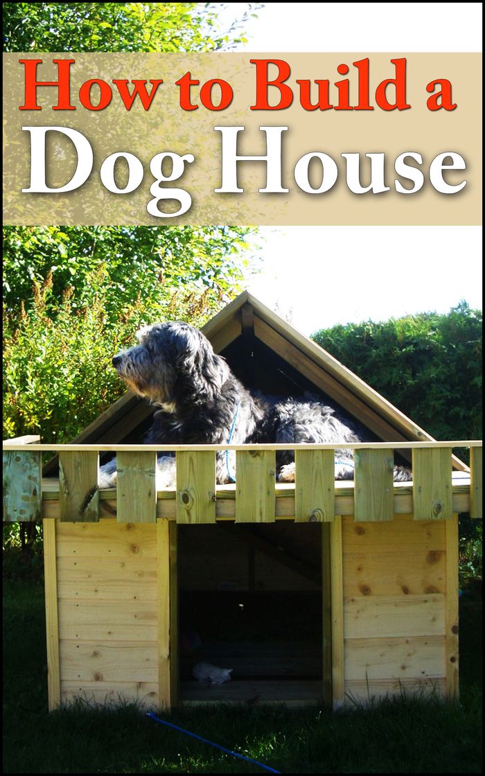 How To Build  Dog House