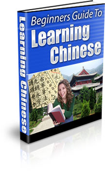 Beginners Guide To Learning Chinese